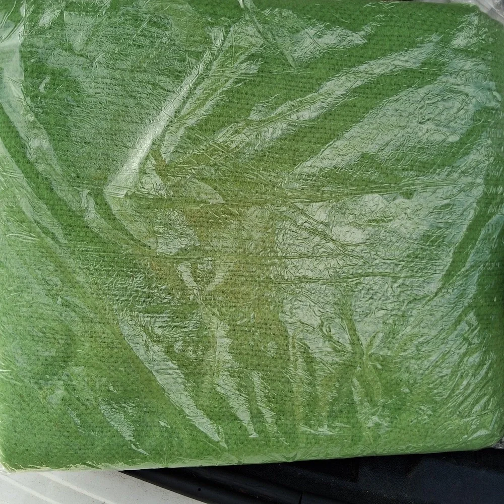 Vtg NOS 70s CANNON Dover 72X90 Green Blanket Border Grandpacore New